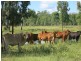 1140 “Glenwood” Cooinda Road, Dingo QLD 4702