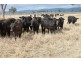 1140 “Glenwood” Cooinda Road, Dingo QLD 4702