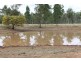 1140 “Glenwood” Cooinda Road, Dingo QLD 4702