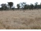 1140 “Glenwood” Cooinda Road, Dingo QLD 4702