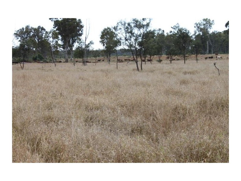 1140 “Glenwood” Cooinda Road, Dingo QLD 4702