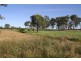 Lot 93 and 96 Nine Mile Road, Fairy Bower QLD 4700