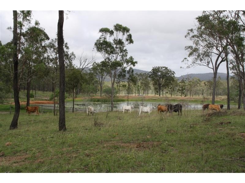 Glencoe and Weeroona, The Caves QLD 4702