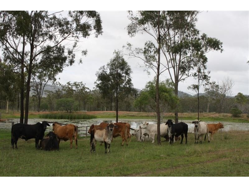 Glencoe and Weeroona, The Caves QLD 4702
