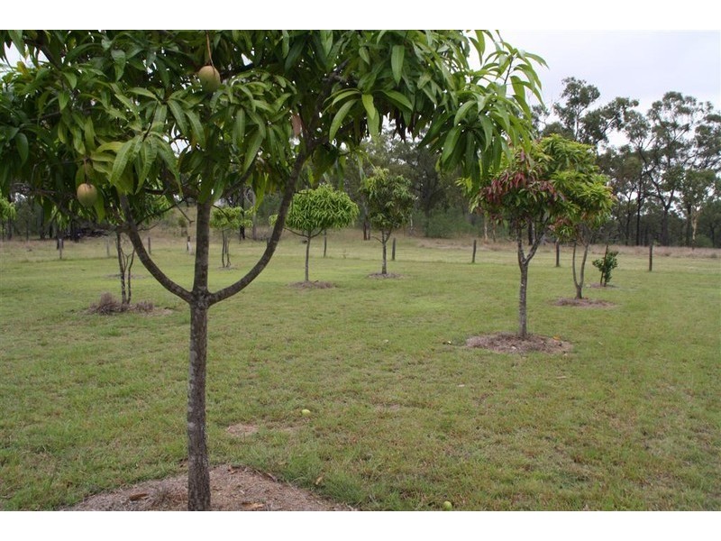 “Serpentine” 0 Bruce Highway, Yaamba QLD 4704