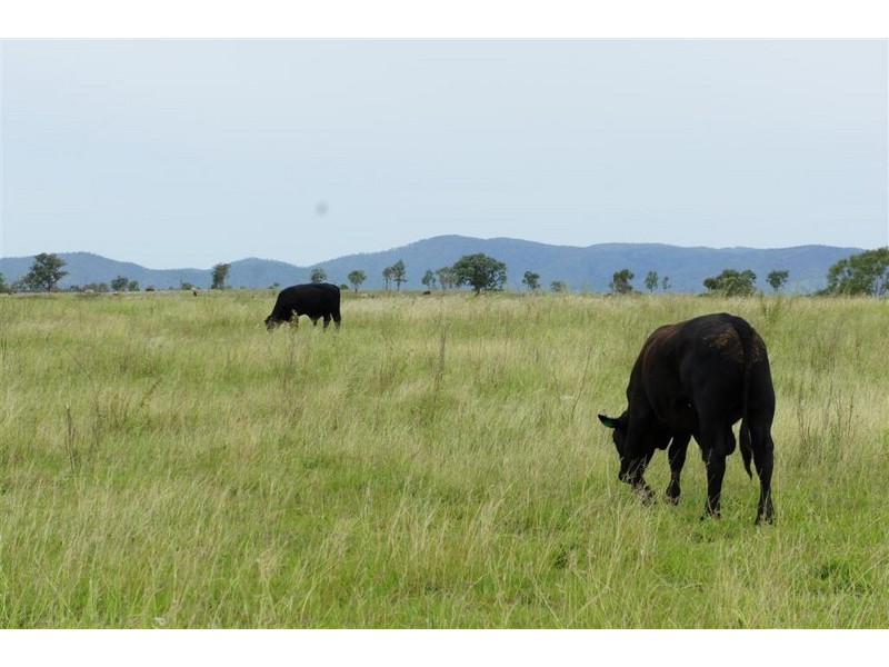 Lot 9, 178 McEvoy Road, Kabra QLD 4702