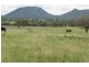 Lot 9, 178 McEvoy Road, Kabra QLD 4702