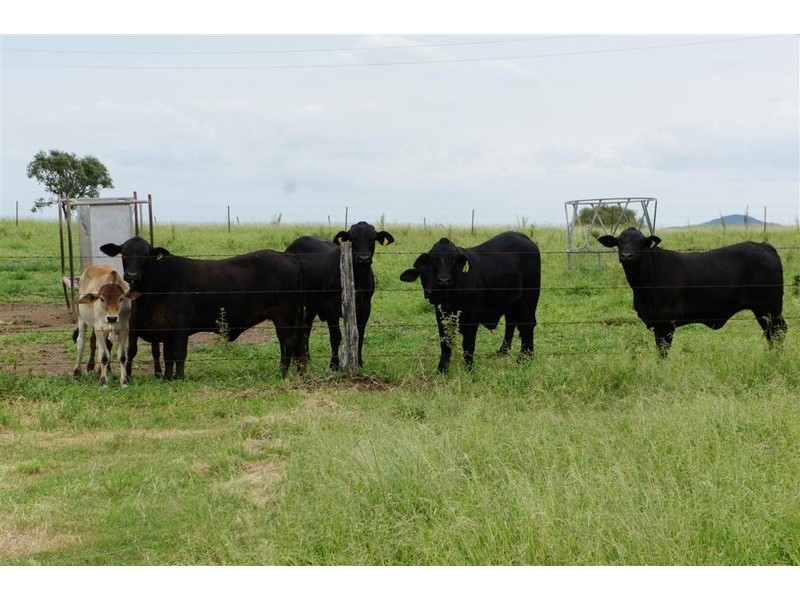 Lot 10, 178 McEvoy Road, Kabra QLD 4702