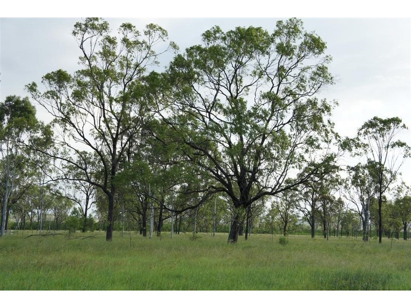 24 Nine Mile Alton Downs Road, Alton Downs QLD 4702