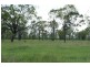 24 Nine Mile Alton Downs Road, Alton Downs QLD 4702