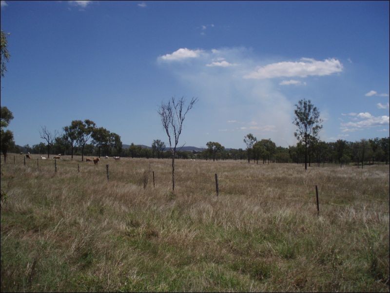Lot 215 Bartlem Road, Westwood QLD 4702
