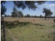 Lot 215 Bartlem Road, Westwood QLD 4702