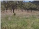 Lot 64 Little Road, Westwood QLD 4702