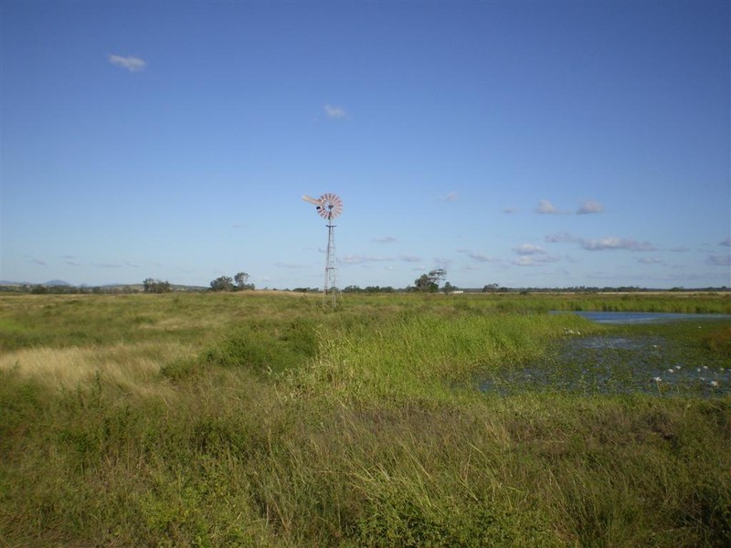 419 Bishop Road, Ridgelands QLD 4702