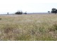 1 Barmoya Road, Barmoya QLD 4703