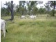 “Flagstone” Normanby Road, Bowen QLD 4805