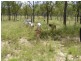 “Flagstone” Normanby Road, Bowen QLD 4805