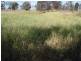 Lot 6 Seymour Road, Ridgelands QLD 4702