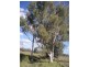 Lot 6 Seymour Road, Ridgelands QLD 4702
