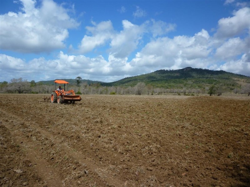 113 Broughton Road, Dalma, Dalma QLD 4702