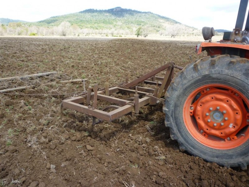 113 Broughton Road, Dalma, Dalma QLD 4702