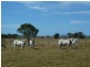 235 Milman North Road, Milman QLD 4702