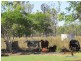 233 Allen Road, Gracemere QLD 4702