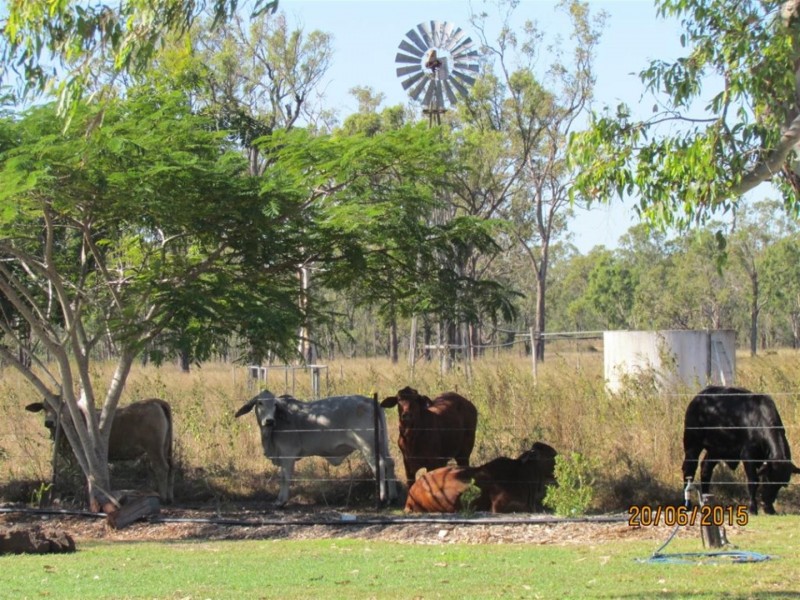 233 Allen Road, Gracemere QLD 4702