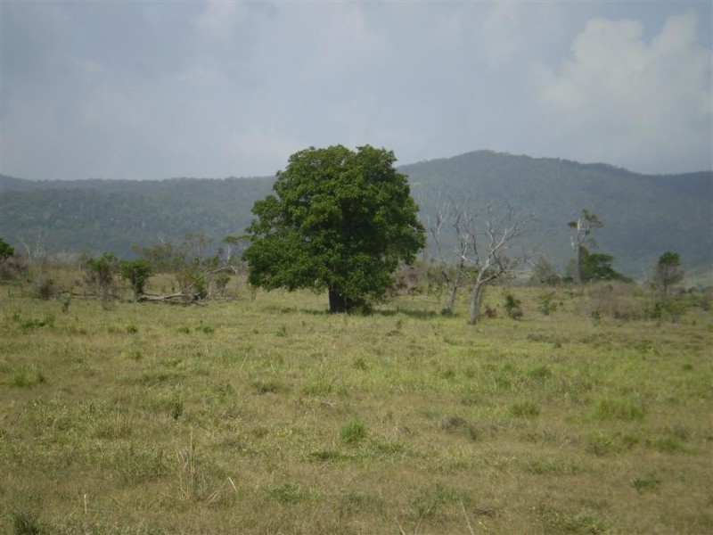 260  Shannon Road, Dalma QLD 4702