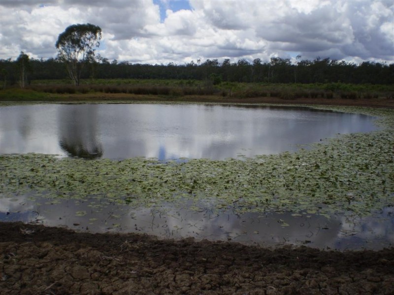 2354 Alsace Road, Dingo QLD 4702