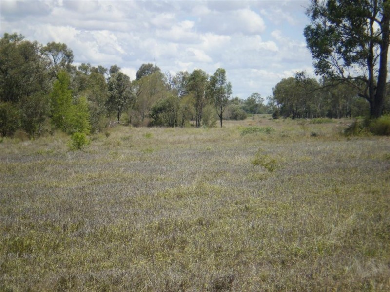 2354 Alsace Road, Dingo QLD 4702