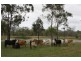 Lot 20 Atkinson Road, Yaamba QLD 4704
