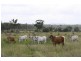 Lot 20 Atkinson Road, Yaamba QLD 4704