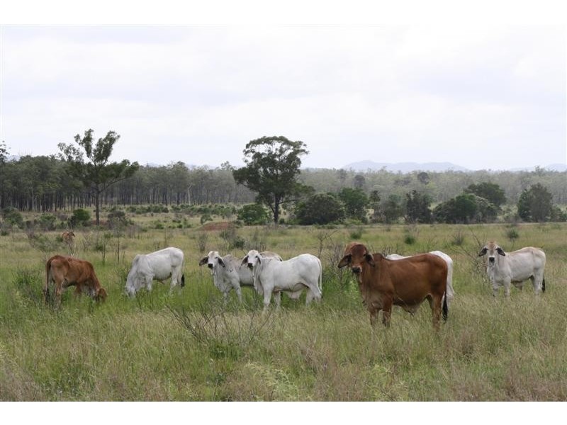 Lot 20 Atkinson Road, Yaamba QLD 4704