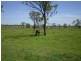 32 Rayner Road, Alton Downs QLD 4702