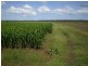 Lot 2 Birrahlee Road, South Yaamba QLD 4702