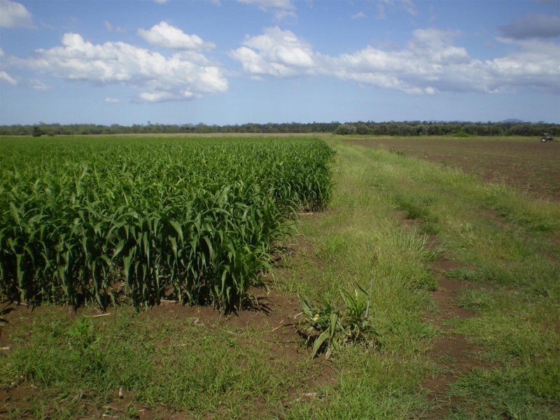 Lot 2 Birrahlee Road, South Yaamba QLD 4702
