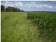 Lot 2 Birrahlee Road, South Yaamba QLD 4702