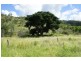 Lot 1 Randwick Lane, Mount Morgan QLD 4714