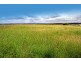 119 McKenzie Road, Alton Downs QLD 4702