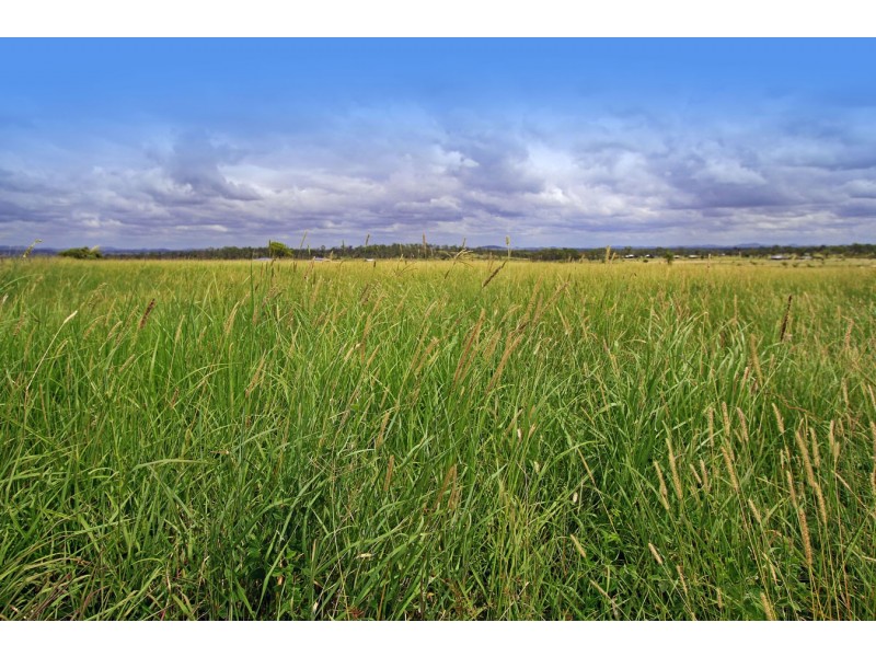 119 McKenzie Road, Alton Downs QLD 4702