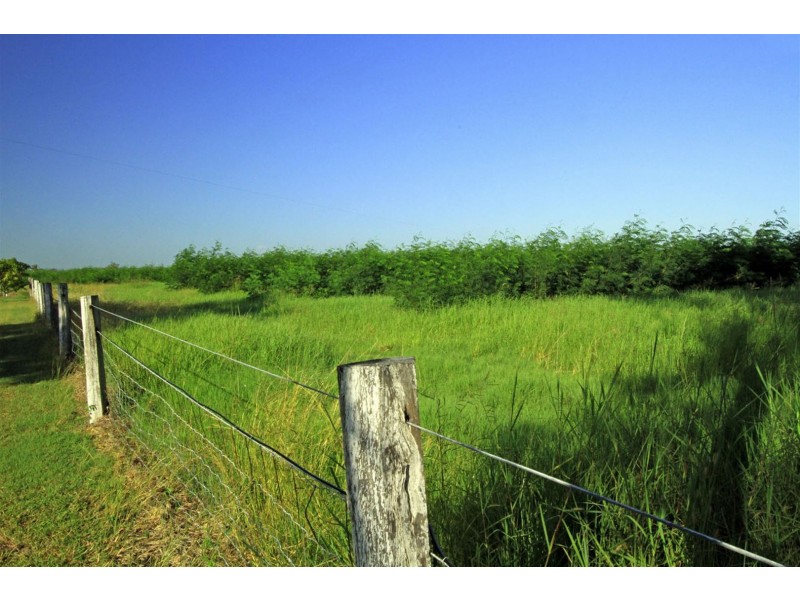 189 Stracey Road, Alton Downs QLD 4702