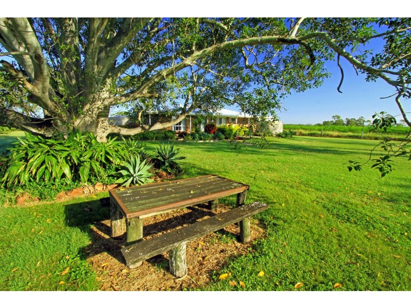 189 Stracey Road, Alton Downs QLD 4702