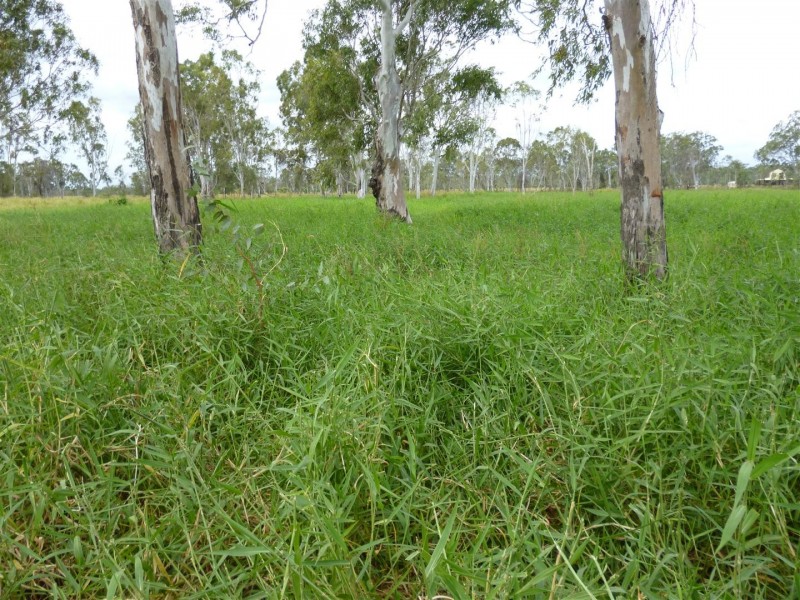 189 Stracey Road, Alton Downs QLD 4702