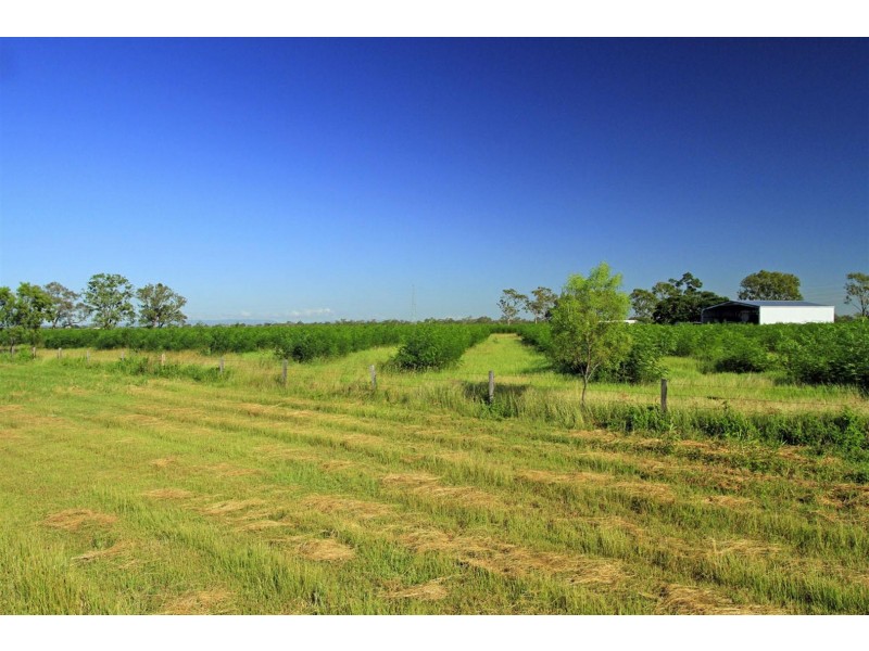 189 Stracey Road, Alton Downs QLD 4702