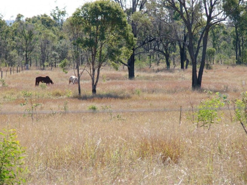 Lot 30 Clifton Street, Gracemere QLD 4702