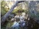 Lot 8 Burnett Highway, Bouldercombe QLD 4702