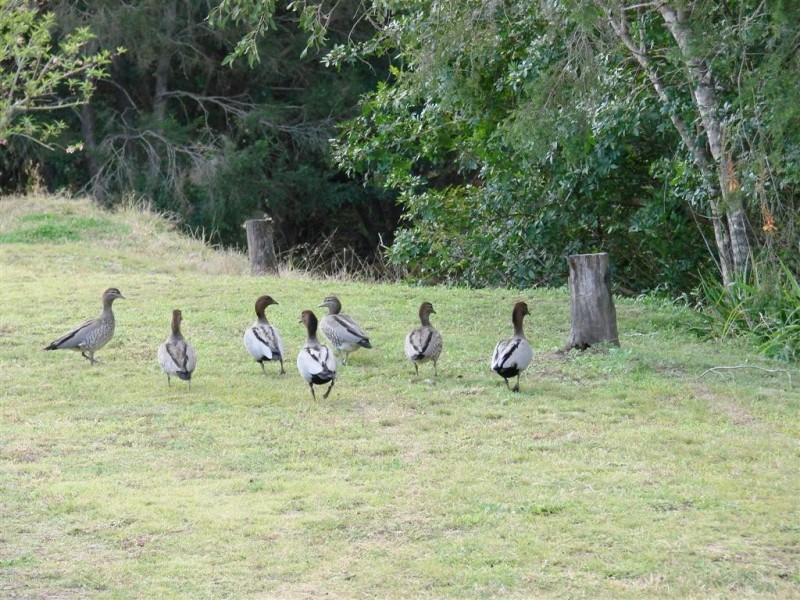 50725 Burnett Highway, Mount Morgan QLD 4714