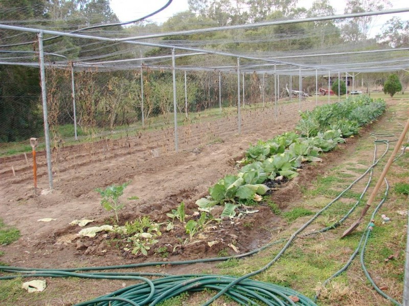 50725 Burnett Highway, Mount Morgan QLD 4714