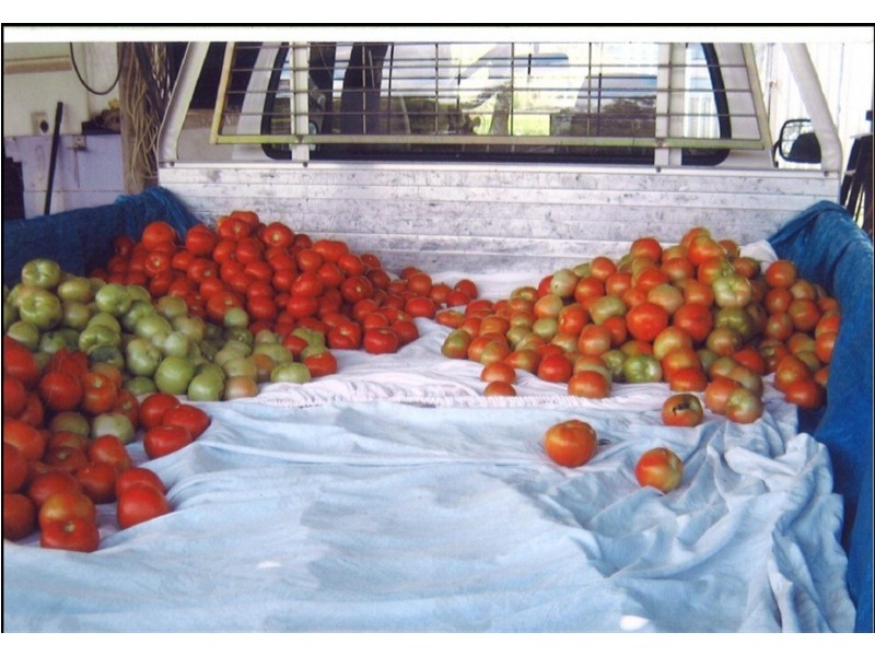 50725 Burnett Highway, Mount Morgan QLD 4714